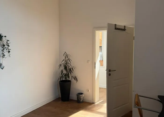 150 Qm Luxus Im Zentrum 公寓 哈默尔恩